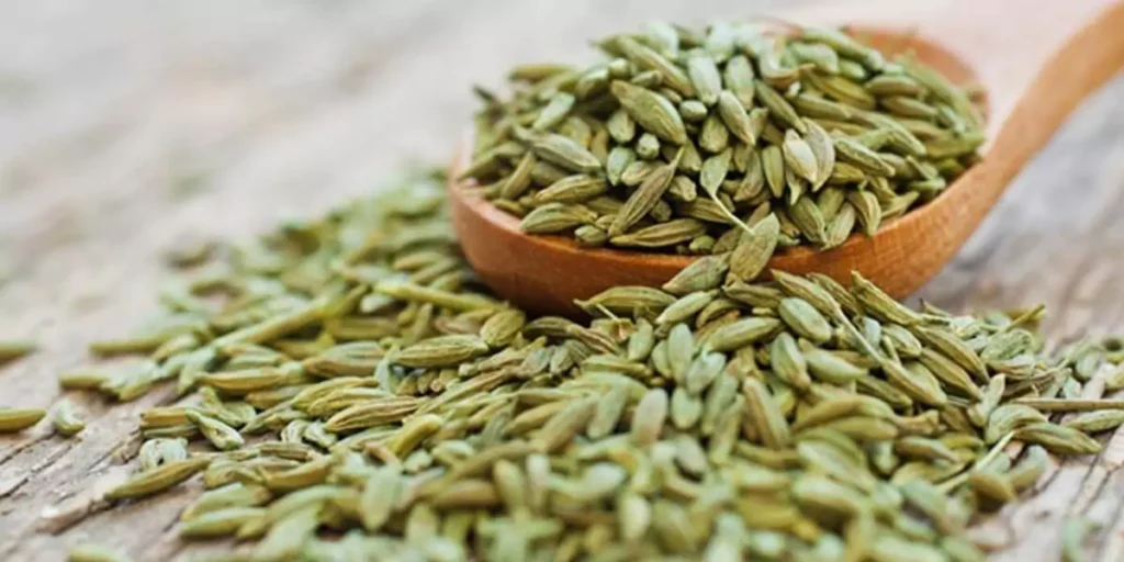 Fennel Seeds Benefits