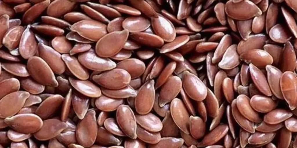 Flaxseed Seeds Benefits