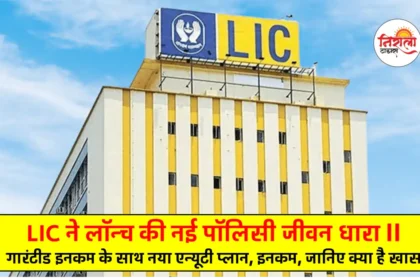 LIC Jeevan Dhara II