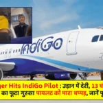 Passenger Hits IndiGo Pilot Controversy