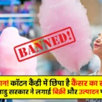 Cotton Candy Banned in Tamilnadu - Cotton Candy Risk of Cancer