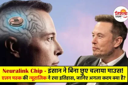 Elon Musk Neuralink Update 2024