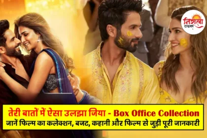 Teri Baaton Mein Aisa Uljha Jiya Box Office Collection Day 1-20