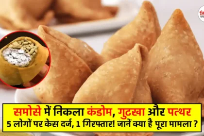 Samosas Latest News - Condoms, Gutkha, Stone Found in Samosas